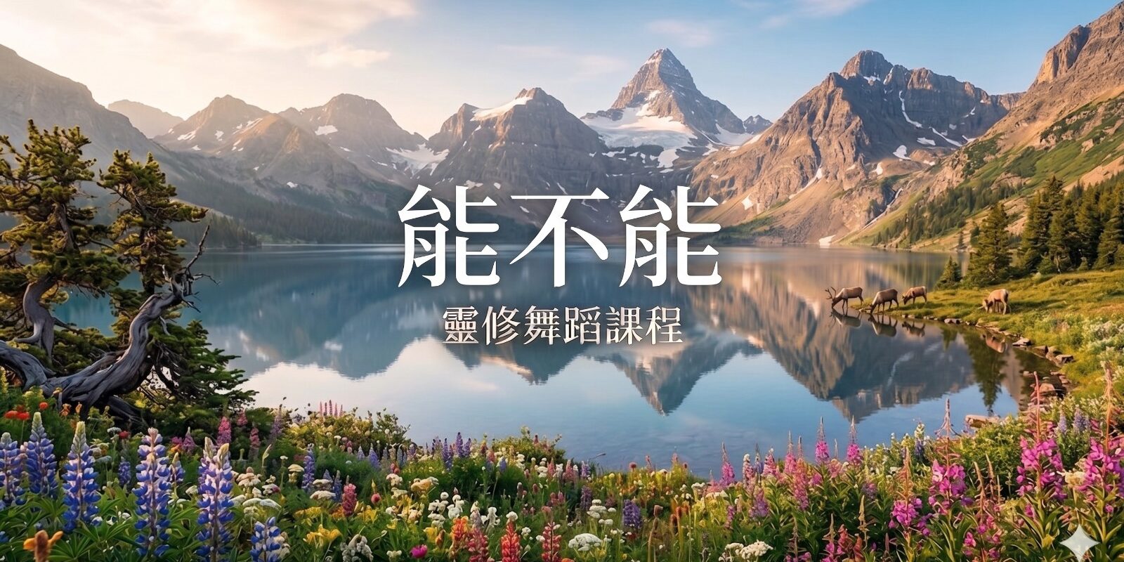 能不能_s